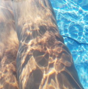 Meet your Posher, Heidy